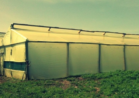 Cheap wooden greenhouse