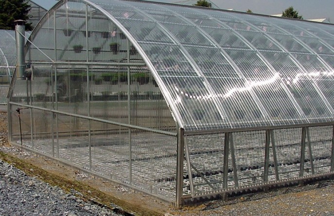 Metal greenhouse